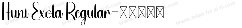 Huni Exota Regular字体转换